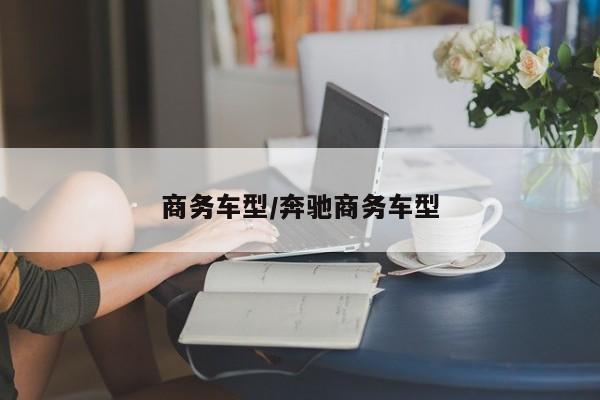 商务车型/奔驰商务车型