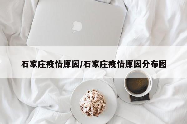石家庄疫情原因/石家庄疫情原因分布图