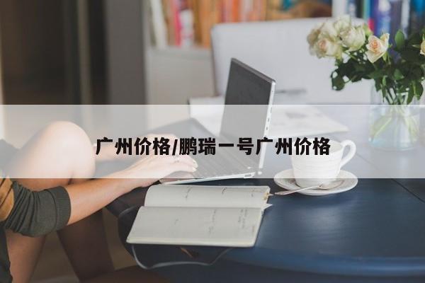广州价格/鹏瑞一号广州价格