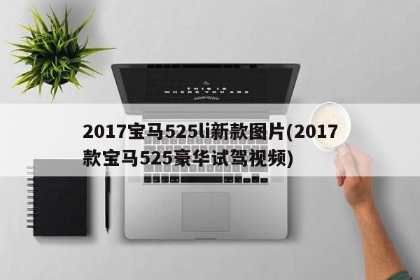 2017宝马525li新款图片(2017款宝马525豪华试驾视频)