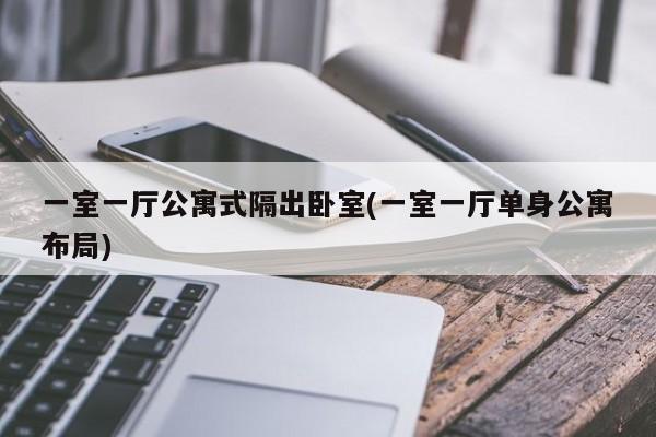 一室一厅公寓式隔出卧室(一室一厅单身公寓布局)