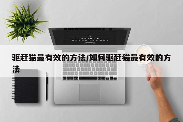 驱赶猫最有效的方法/如何驱赶猫最有效的方法