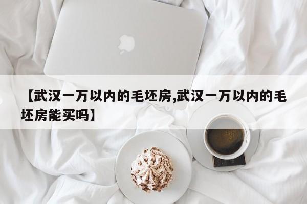 【武汉一万以内的毛坯房,武汉一万以内的毛坯房能买吗】