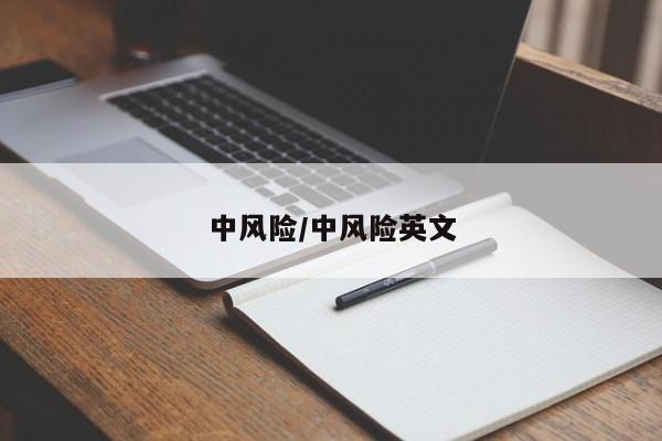 中风险/中风险英文