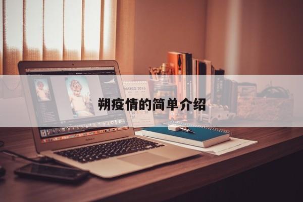 朔疫情的简单介绍
