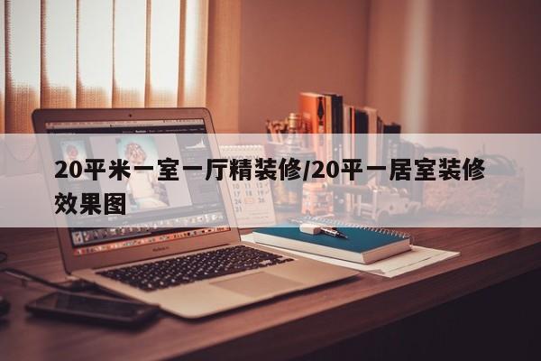 20平米一室一厅精装修/20平一居室装修效果图