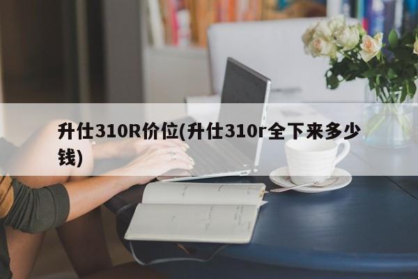 升仕310R价位(升仕310r全下来多少钱)