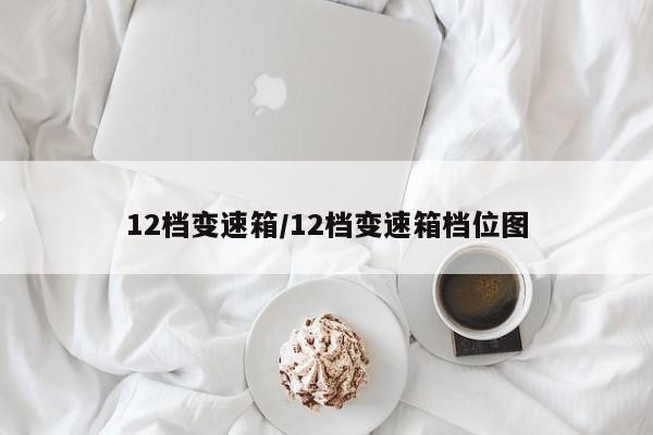 12档变速箱/12档变速箱档位图