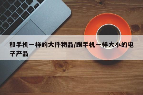 和手机一样的大件物品/跟手机一样大小的电子产品