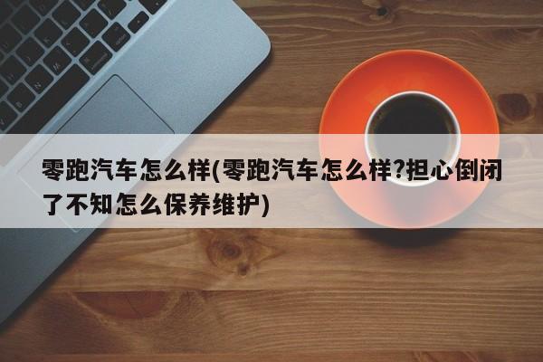 零跑汽车怎么样(零跑汽车怎么样?担心倒闭了不知怎么保养维护)