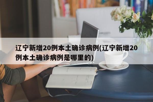 辽宁新增20例本土确诊病例(辽宁新增20例本土确诊病例是哪里的)