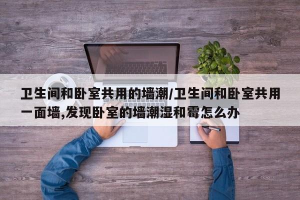 卫生间和卧室共用的墙潮/卫生间和卧室共用一面墙,发现卧室的墙潮湿和霉怎么办