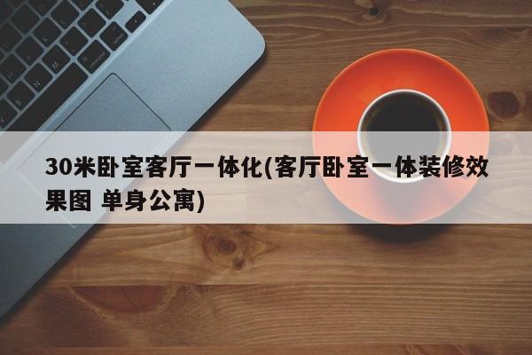 30米卧室客厅一体化(客厅卧室一体装修效果图 单身公寓)