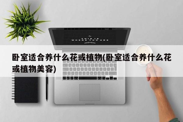 卧室适合养什么花或植物(卧室适合养什么花或植物美容)