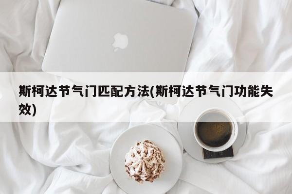 斯柯达节气门匹配方法(斯柯达节气门功能失效)