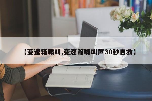 【变速箱啸叫,变速箱啸叫声30秒自救】