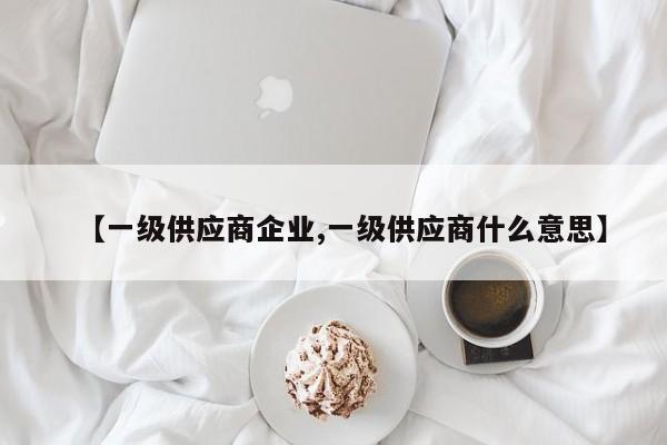 【一级供应商企业,一级供应商什么意思】